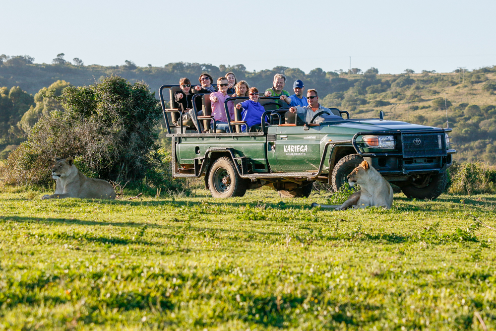 Guests on Malaria-Free South African Safari Experience