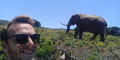 Kariega-Conservation-Volunteer-Update-Oct-Dec-2019-Wildlife-Monitoring-Elephant.jpg