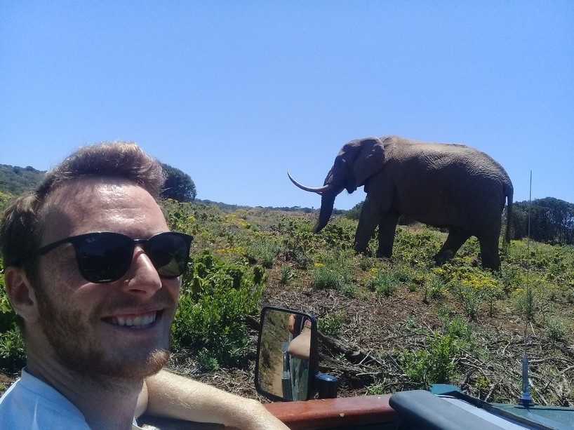 Kariega-Conservation-Volunteer-Update-Oct-Dec-2019-Wildlife-Monitoring-Elephant.jpg