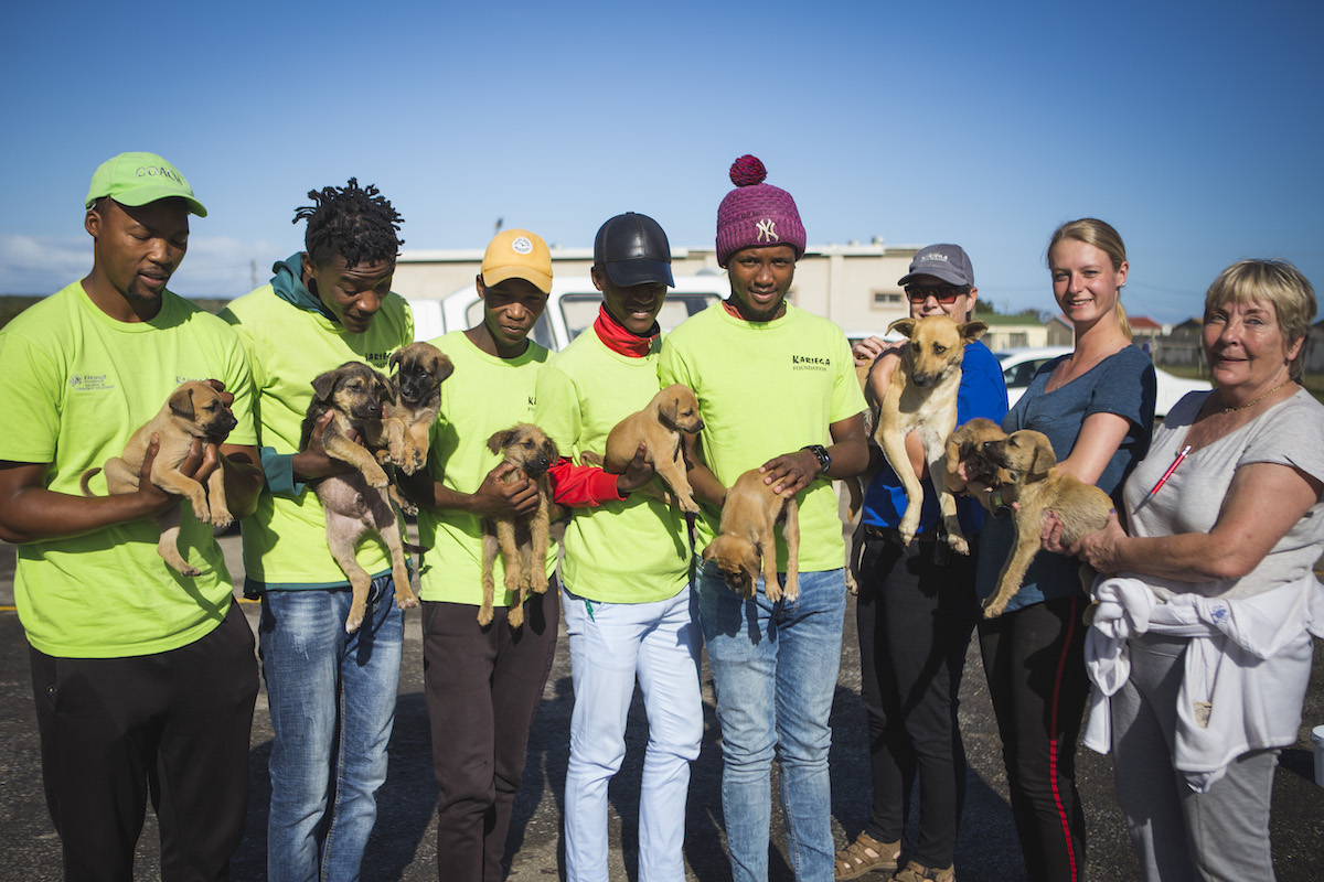 Kariega Foundation 2019 Community Project Highlights: Domestic Animal Outreach