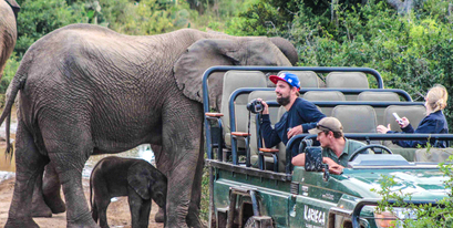 Kariega-Game-Reserve-Baby-Ellie-Jo-Haesslich.JPG