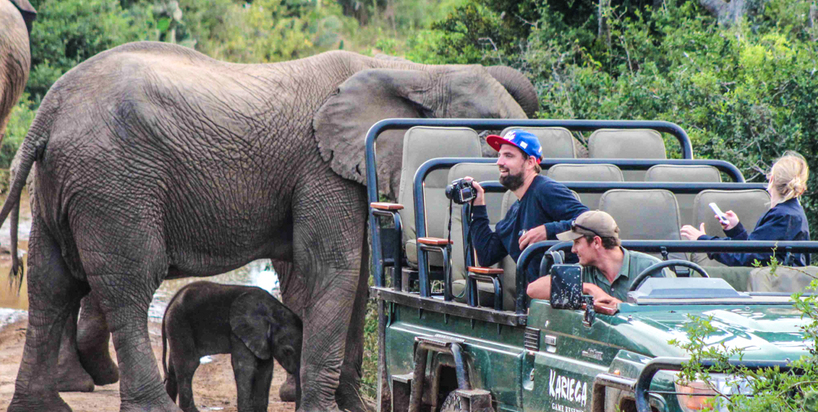 Kariega-Game-Reserve-Baby-Ellie-Jo-Haesslich.JPG
