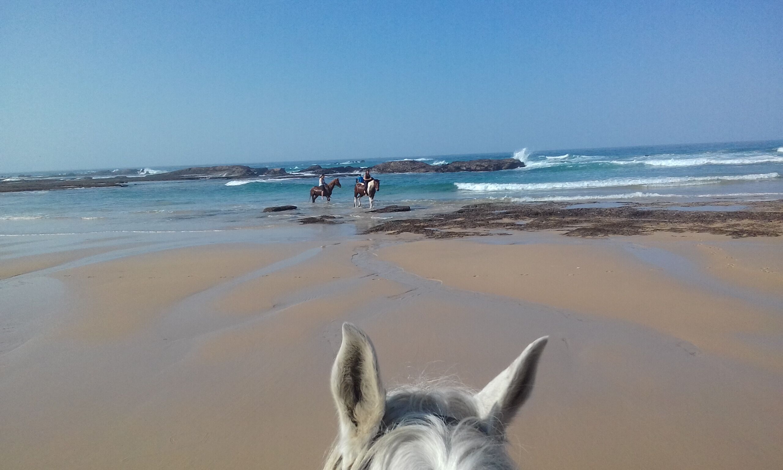 Top 10 Nearby Activities: Beach Horse Rides