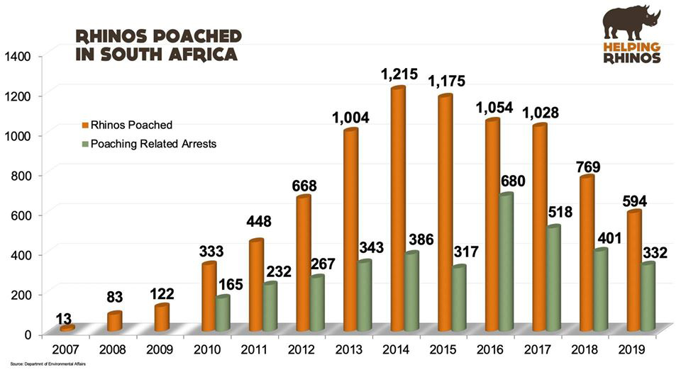 Rhino Stats 2020
