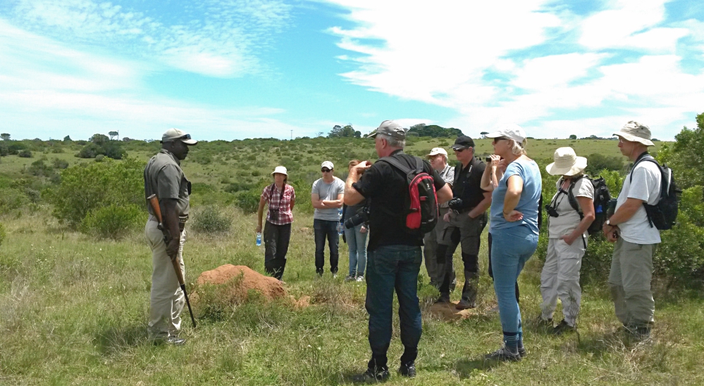 South African Safari Guide Thomas on Bush Walk