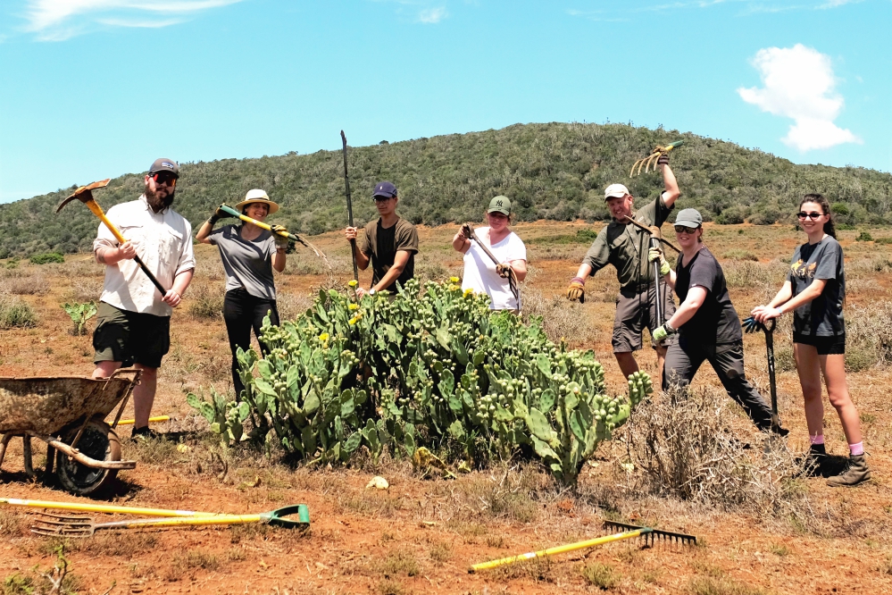 Kariega Conservation Volunteer Update Jan - March 2020 Alien Plants