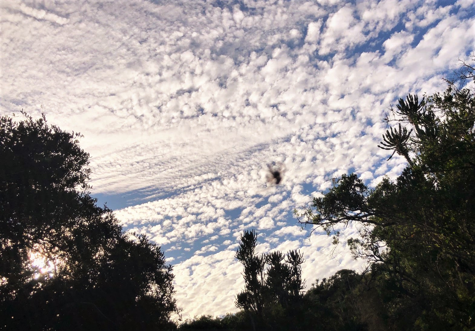 Clouds: Top 10 Ways To Connect With Nature From Home