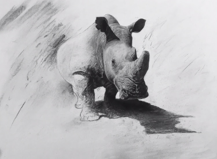 Darren Baker Rhino Original Artwork