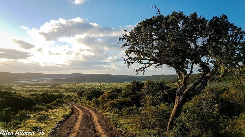 Kariega Landscape Allen Allman