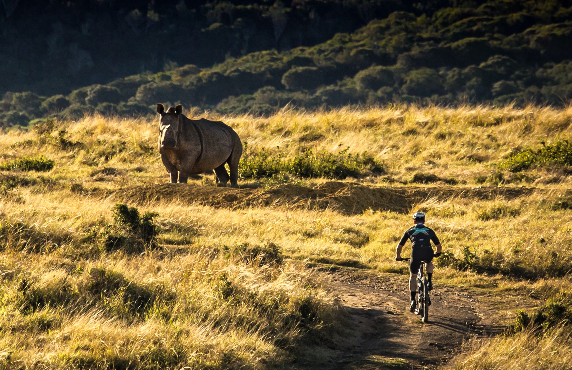 Book Raises Funds to Protect Rhino at Kariega