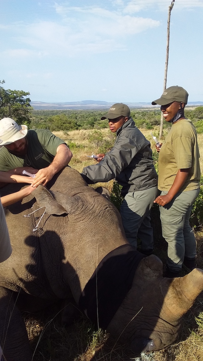 Kariega Interns Experience Rhino Conservation