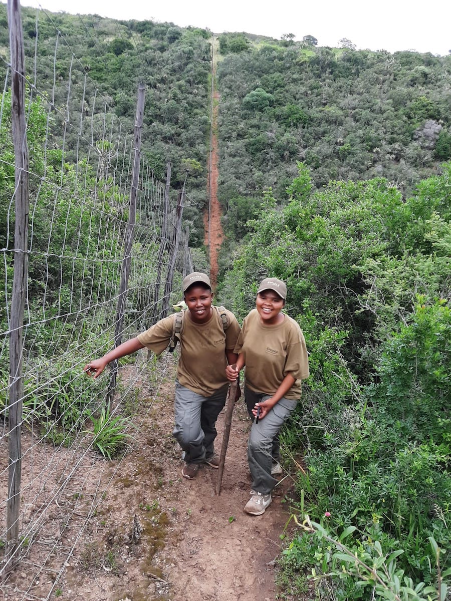 Kariega Interns check the fence line