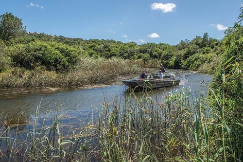 Boating along the Kariega river