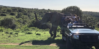 USA Guest Shares African Safari Experience