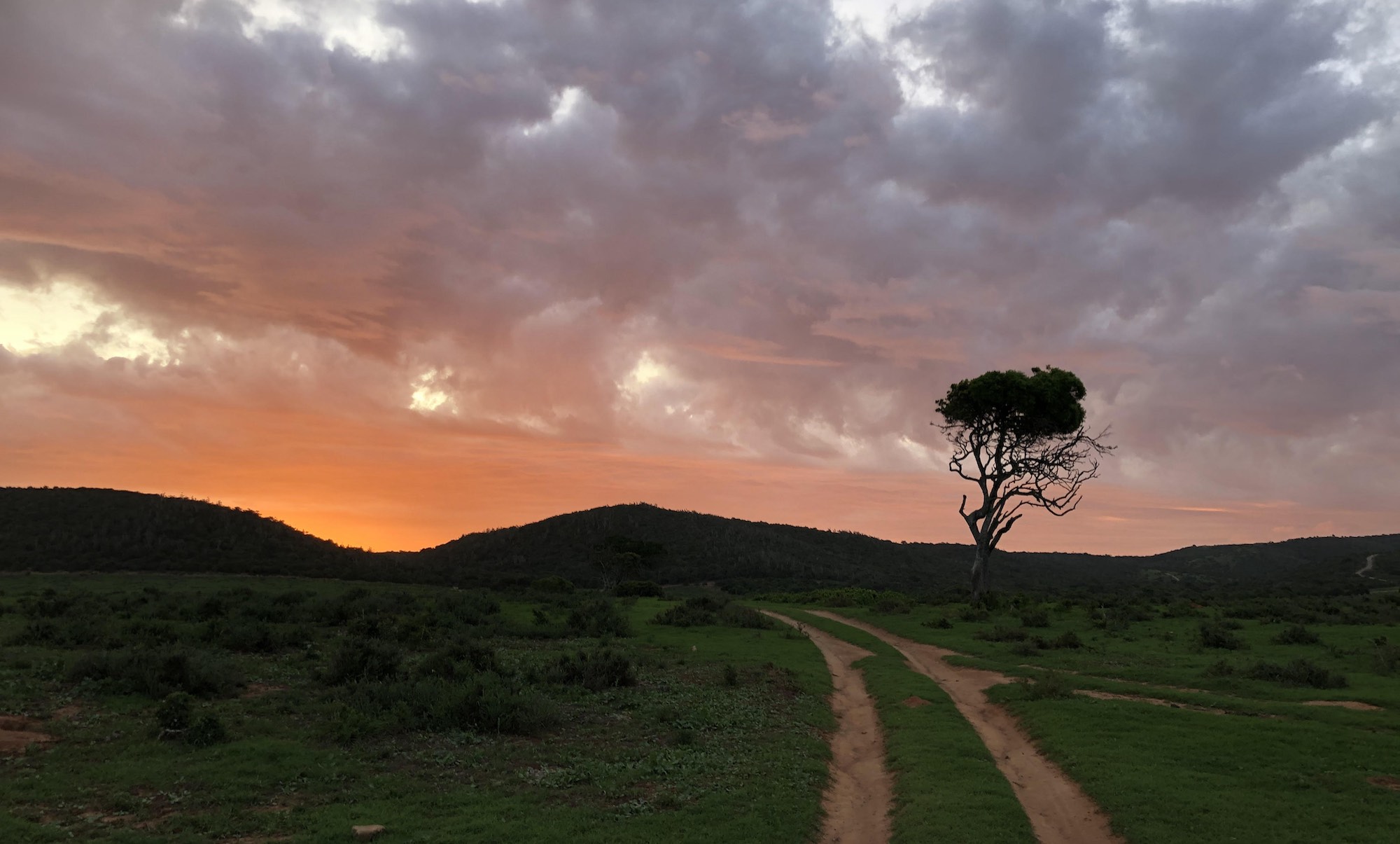 Sunset on African Safari Experience