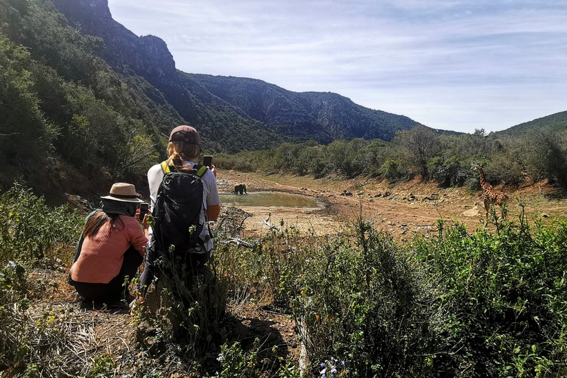 Kariega Conservation Volunteers and elephants