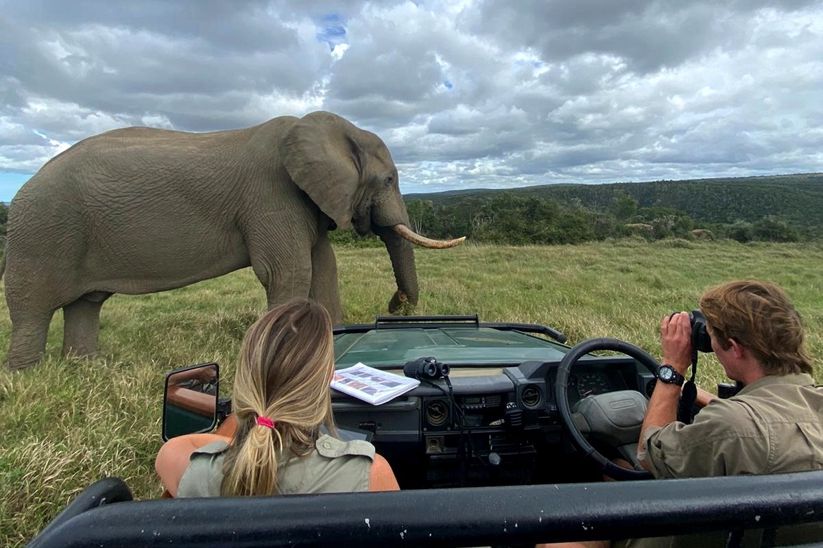 Kariega Conservation Volunteers Wildlife Research