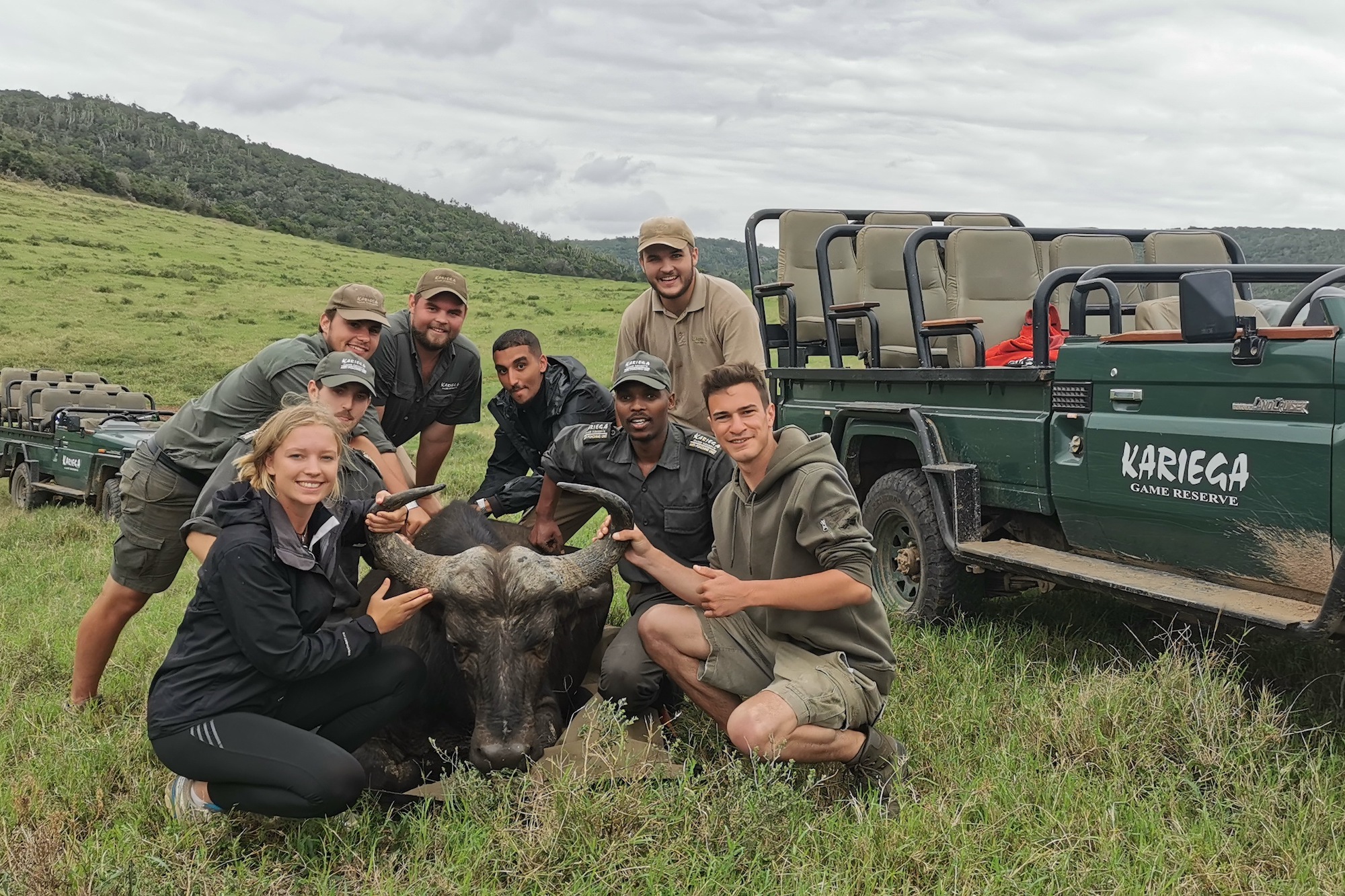 Kariega Conservation Volunteers Buffalo