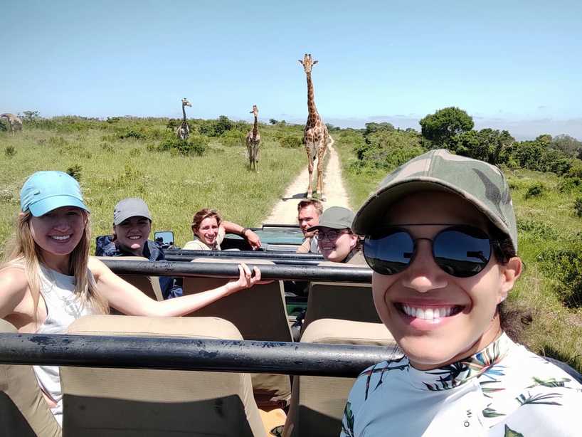 Kariega Conservation Volunteers Giraffe