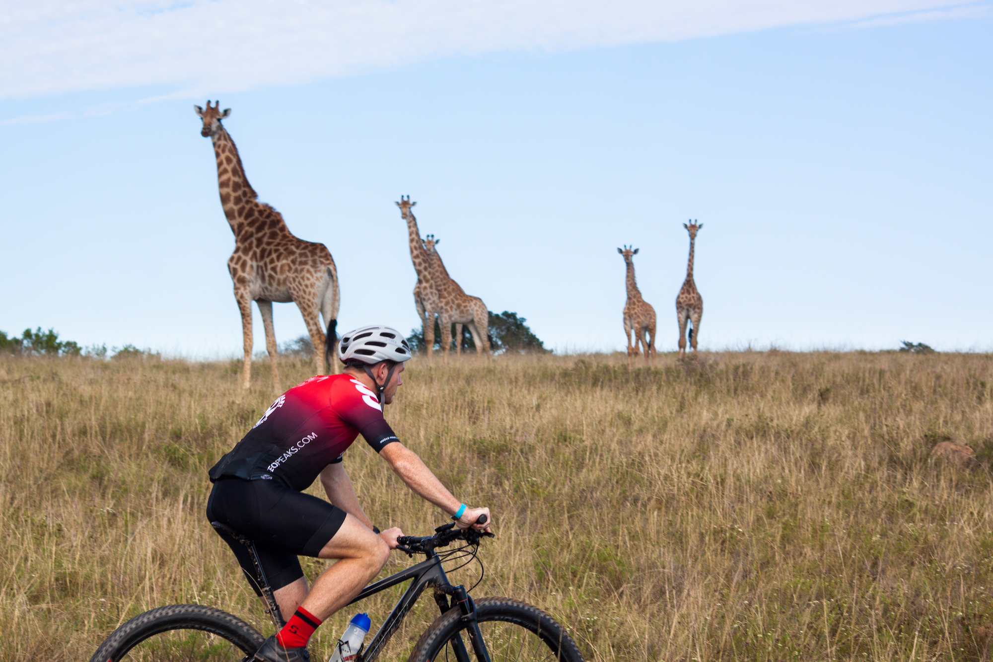 Virtual Safari Cycle Fundraising Events