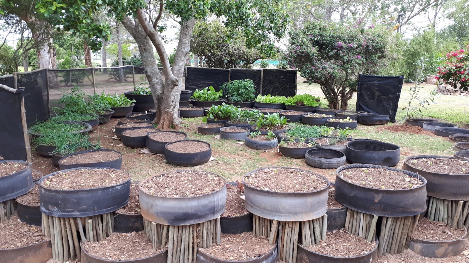 Kariega Conservation Centre Permiculture Garden