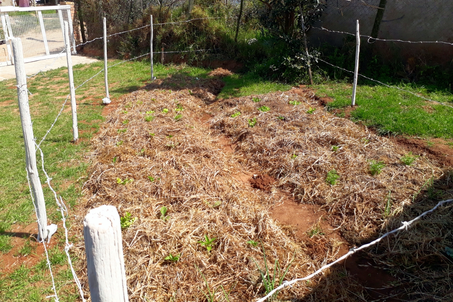 Community Garden