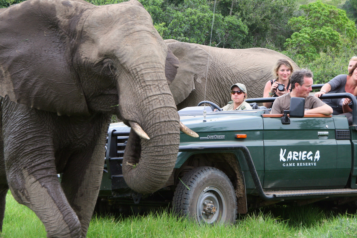 Kariega Safari Drive