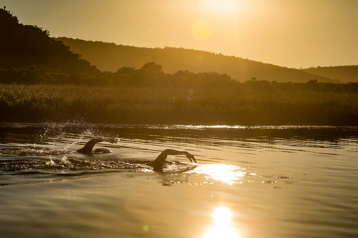 Kariega River Lodge Swimming