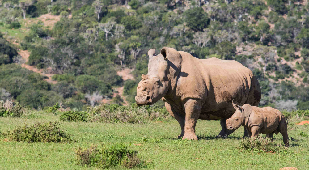 Thandi and Mthetho - Image taken by Jone Hasselich