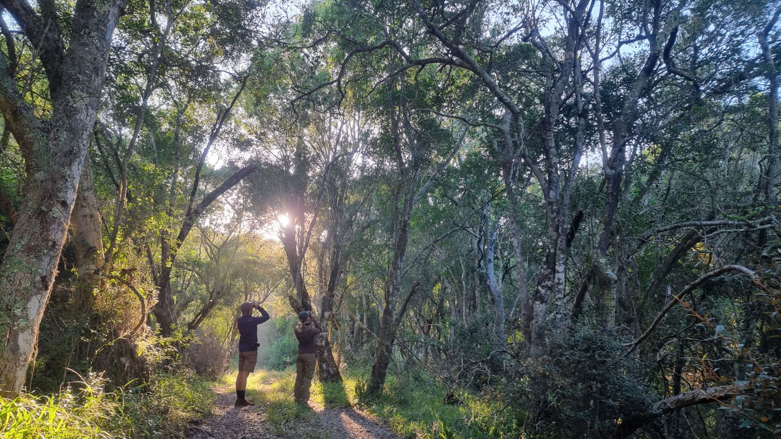 Birding on foot - Img taken by head guide Wayne Howarth