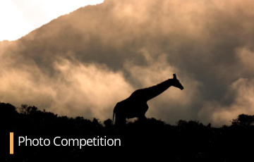 Kariega Safari Photo Competition