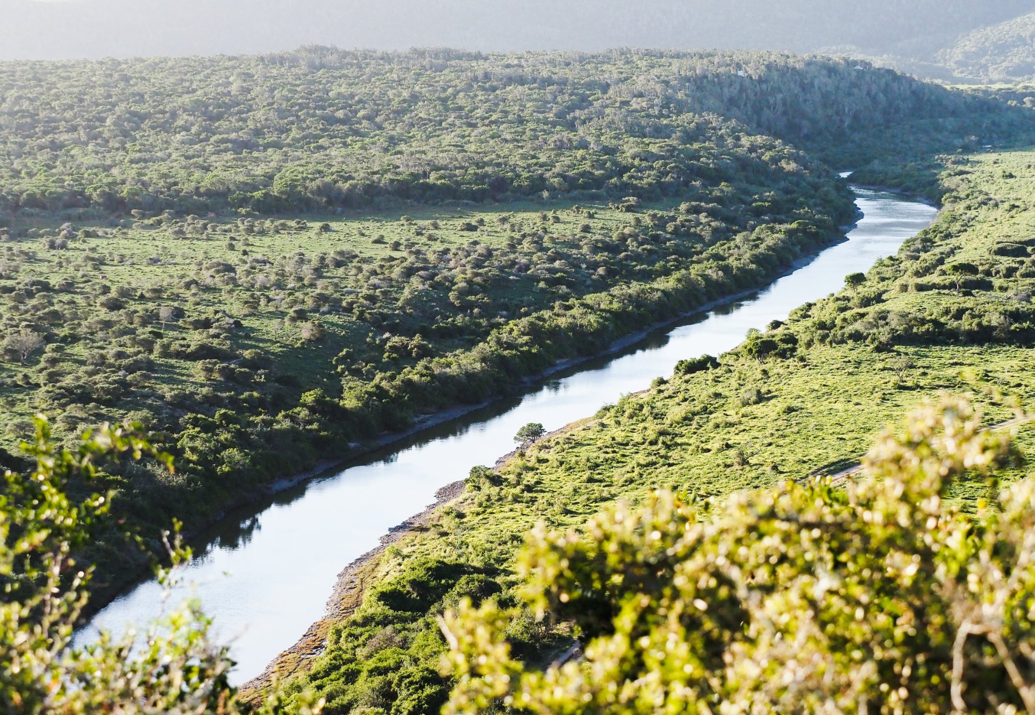 The Bushmans River running through Kariega by Trish Liggett