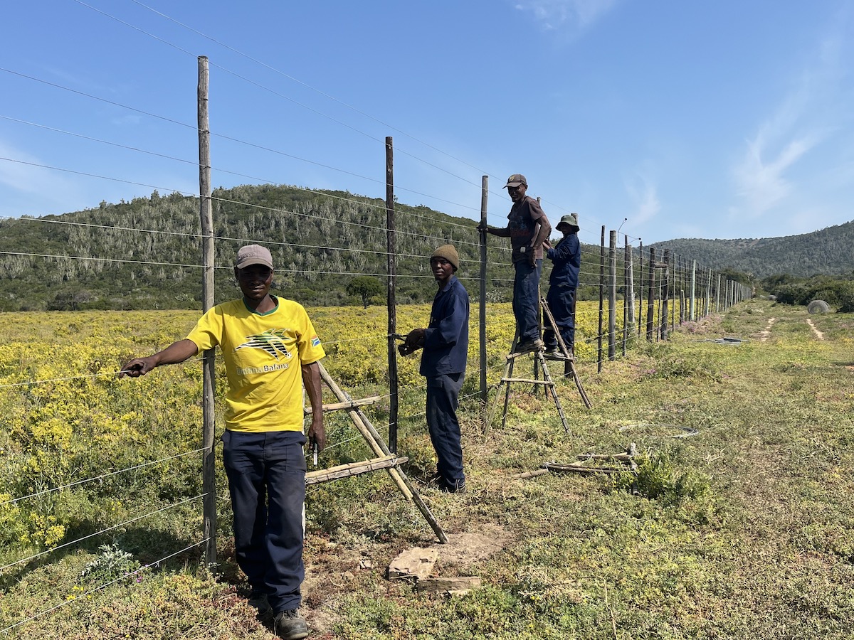 Fence dropping at Kariega Game Reserve