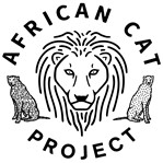 African Cat Project
