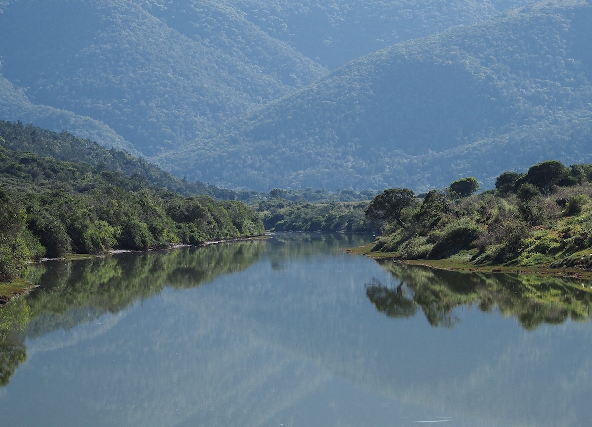 Newly protected habitat at Kariega along the Bushmans River by Trish Liggett