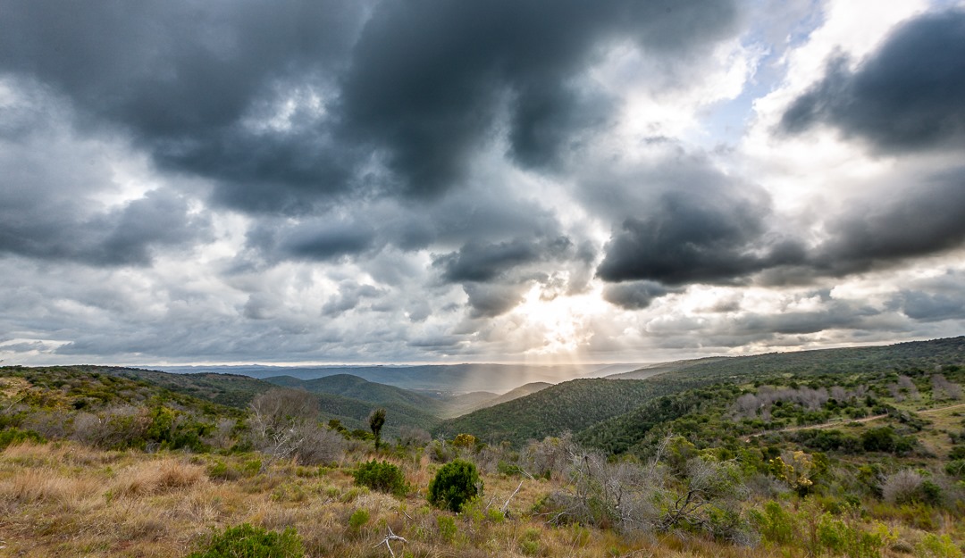 The biodiverse Bushmans River Valley by Brendon Jennings
