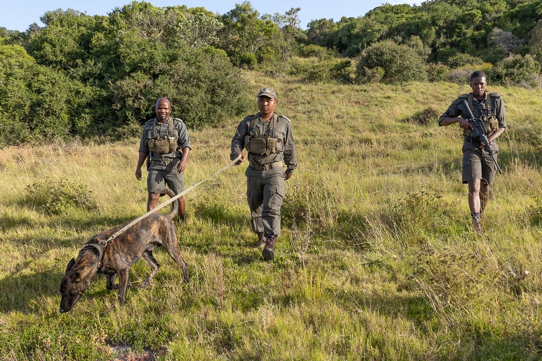 Kariega K9 APU on patrol