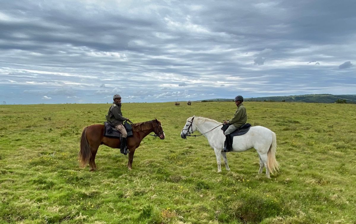 GCF Mounted Unit in the field at Kariega Game Reserve