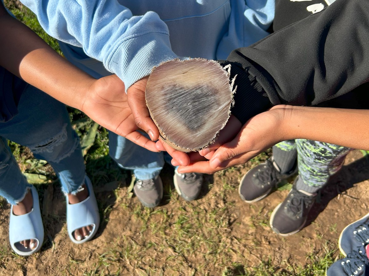 Community youth learn why rhino are critically endangered