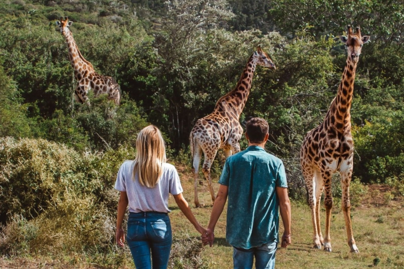 Why Spend Your Honeymoon on Safari