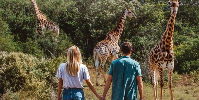 Why Spend Your Honeymoon on Safari