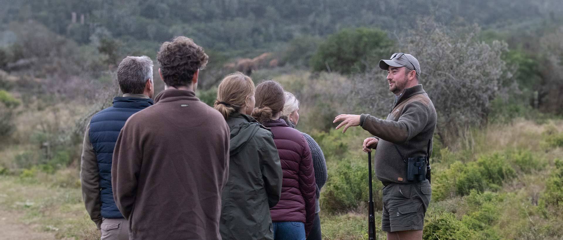 Guided Bush Walk