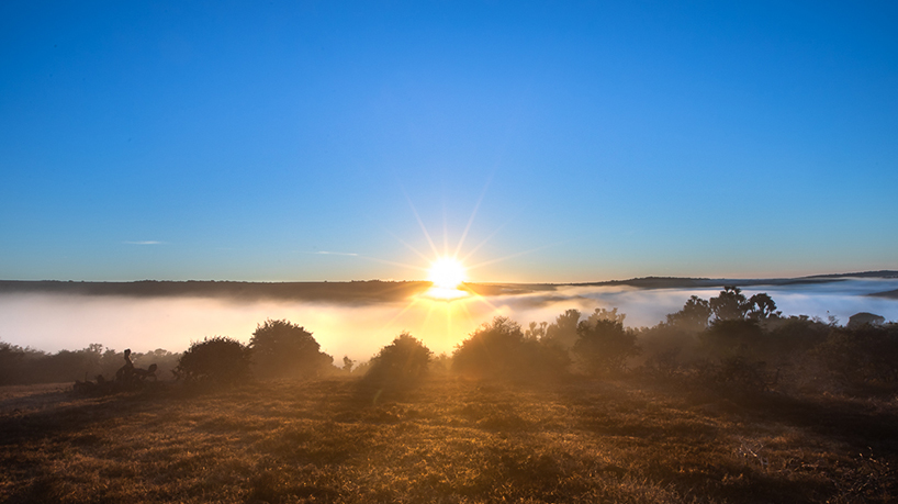 Winter Magical Moments at Kariega