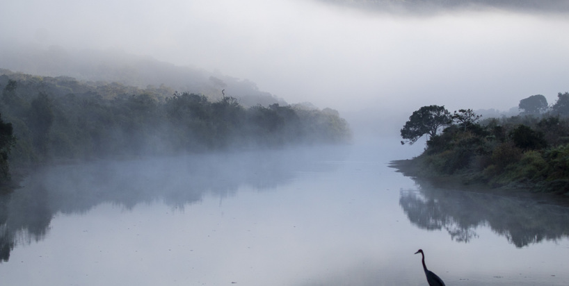 Audience Favorite Winner - Facebook Photo Comp 2025 - Kariega guest Eléa Yanghil