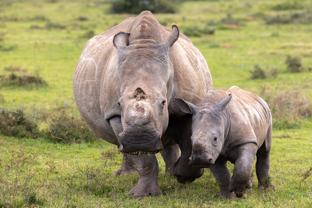 Thandi And Zolani   Img Taken By Brendon Jennings