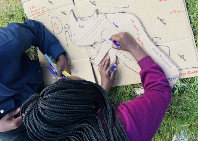 Rhino Conservation   Environmental Education