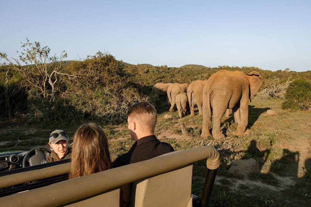 Expert Guides At Kariega Game Reserve