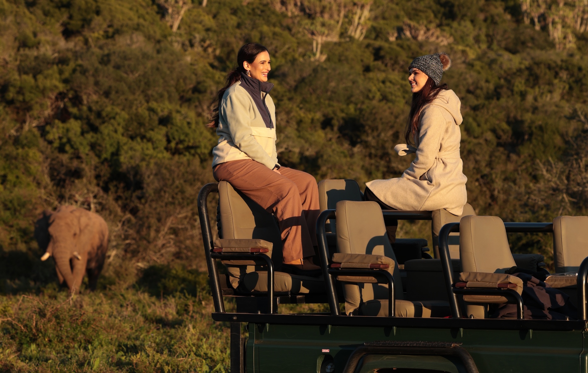 Elephant Visiting A Coffee Stop At Kariega