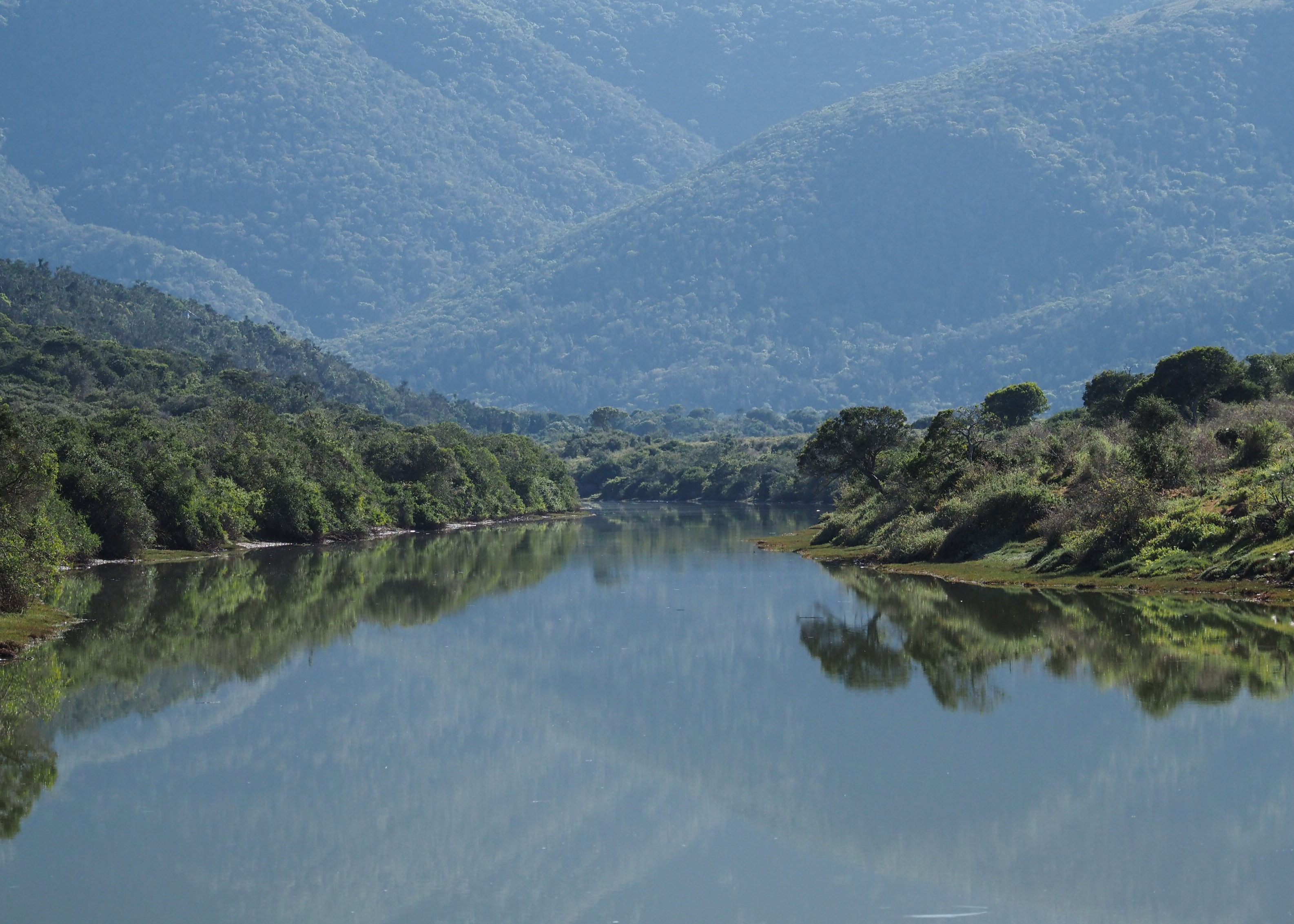 12 000 Hectares Of Biodiversity Protected On Kariega Game Reserve
