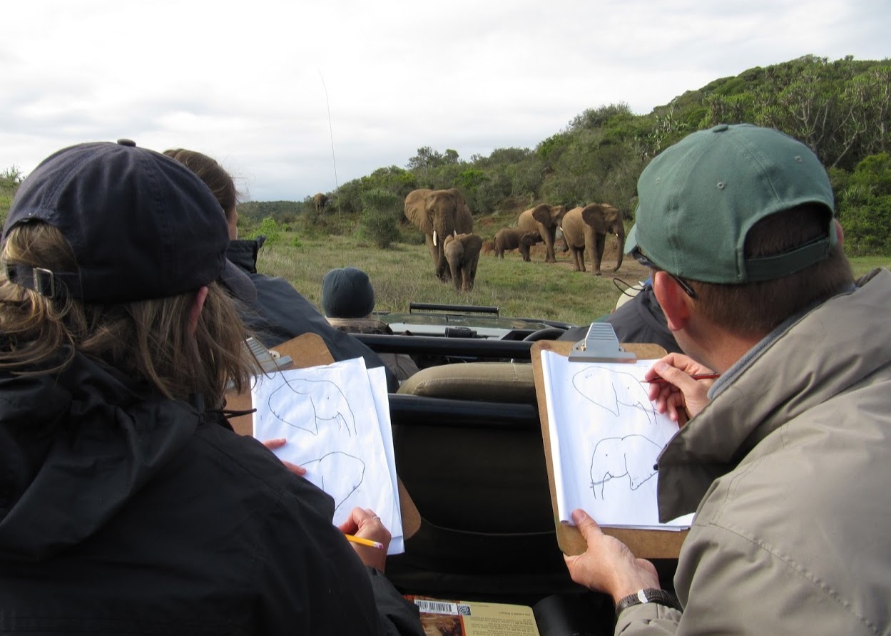 Volunteers Monitoring Elephants On Kariega Game Reserve